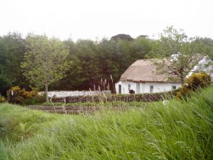 Muckross Traditional Farm House